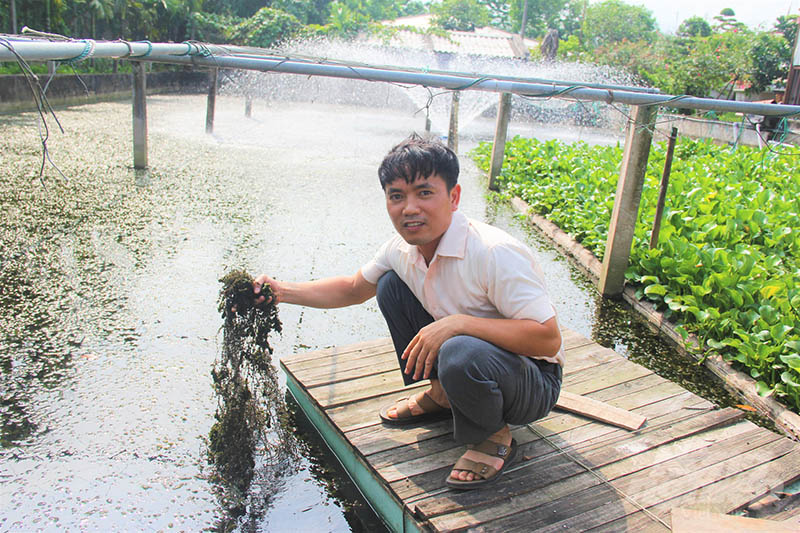 Nguồn nước trước khi cấp vào bể nuôi lươn được anh Quang xử lý kỹ lưỡng tại hệ thống ao lắng, bể lọc