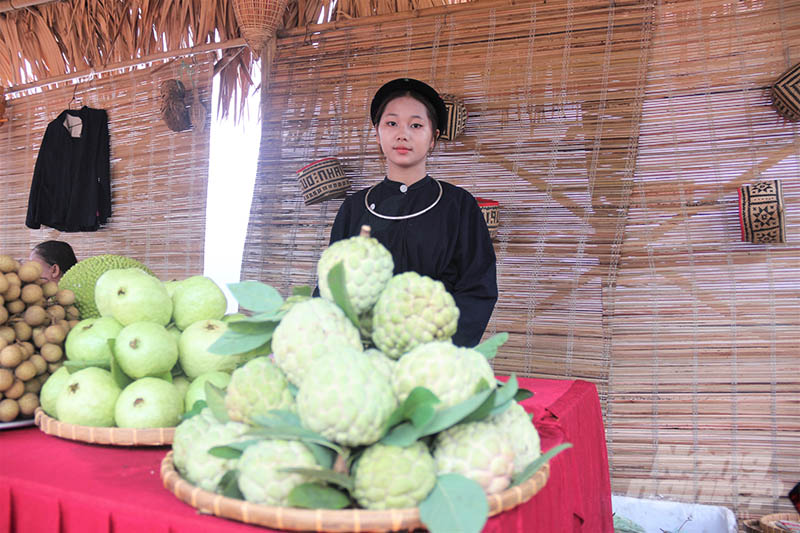 Na tại mô hình cho quả to đều, mẫu mã