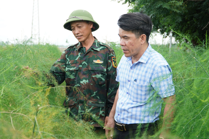Ông Nguyễn Duy Thơ (phải), Phó Chủ tịch Hội Nông dân huyện Vĩnh Tường tham quan mô hình măng tây của ông Nguyễn Xuân Hòa