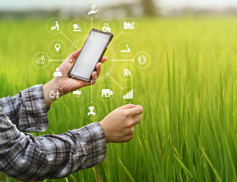 Xu hướng nông nghiệp thông minh ngày càng phát triển