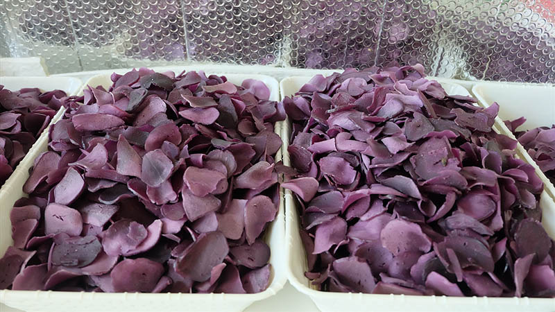 Bánh phồng được làm hoàn toàn từ khoai lang địa phương. Ảnh: baoquangnam.vn