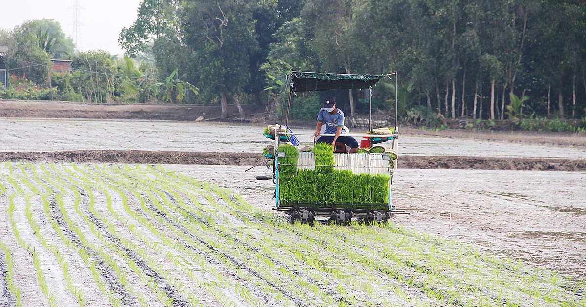 Đào tạo nông nghiệp công nghệ cao được chú trọng