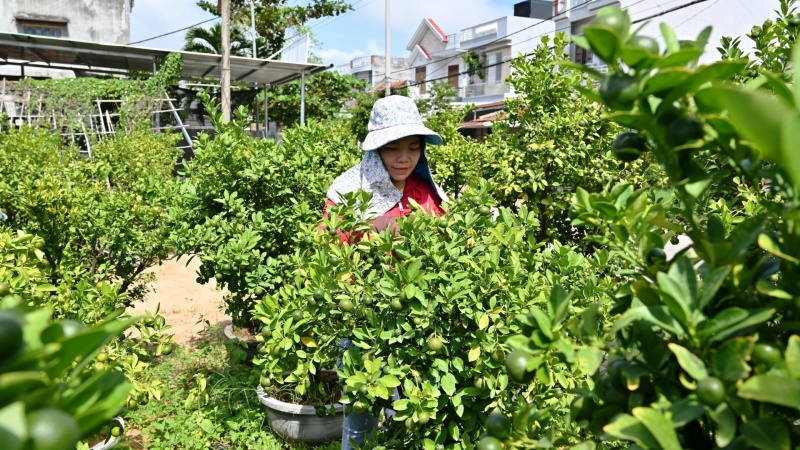 Quản lý vốn hỗ trợ nông dân có vai trò rất quan trọng