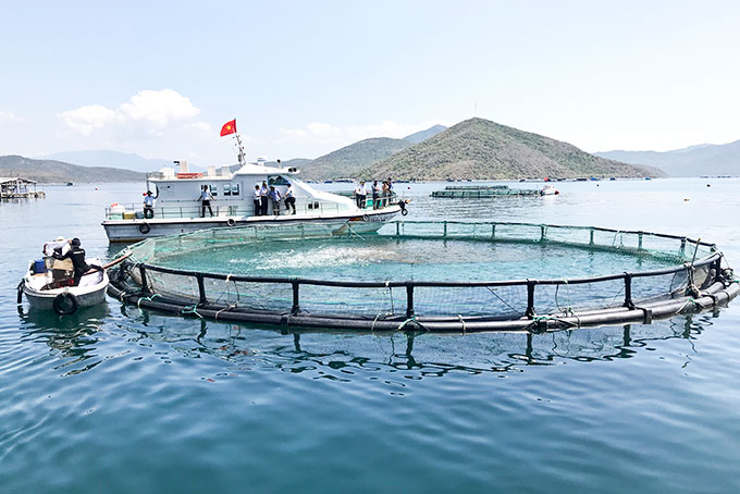 Có nhiều hình thức nuôi trồng thuỷ sản hiện nay
