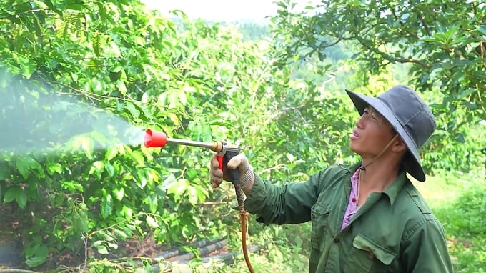 Những nguyên tắc độc đáo của HTX nông sản hữu cơ Bechamp