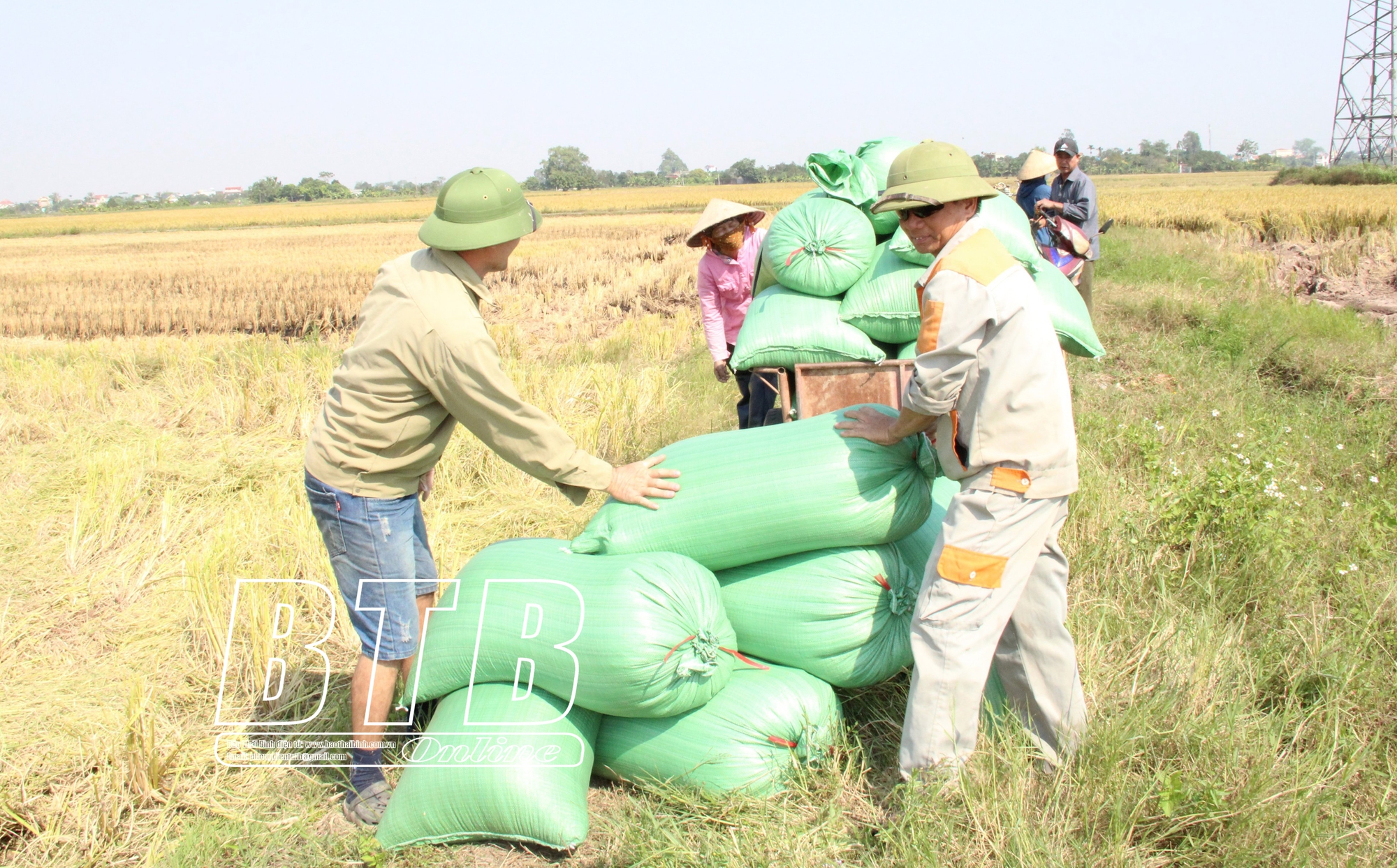 Máy gặt tiết kiệm thời gian và công sức