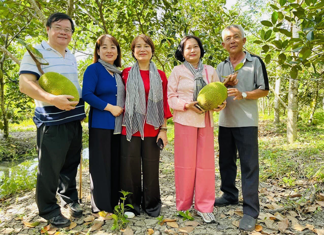 Chị Nhung (thứ 2 từ trái qua) tìm hiểu vùng nguyên liệu mít tại xã Đại Thành, TP.Ngã Bảy, Hậu Giang