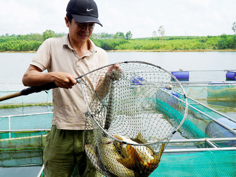 chủ trang trại cá
