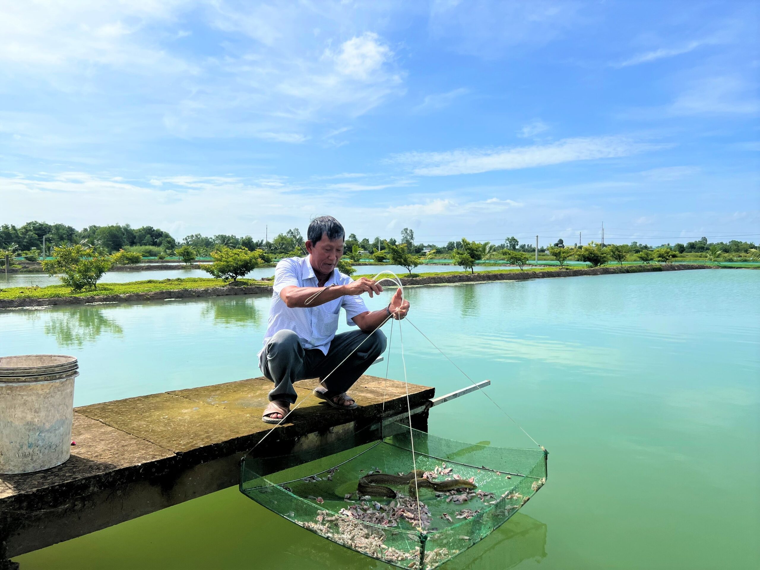 Thức ăn được để vào vèo nhỏ cho cá bơi vào ăn