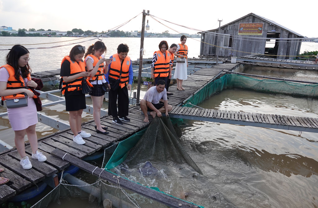 Du khách thăm bè cá của vợ chồng ông Bảy Bon thích thú khi được giới thiệu những loài cá quý được bảo tồn tại đây