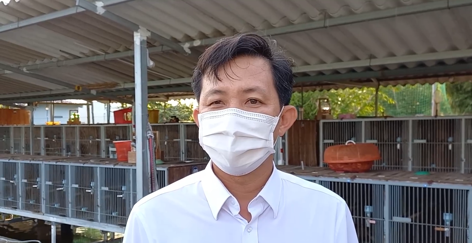 Ông Hùng thành công với nghề nuôi chồn hương nhờ cách làm sáng tạo