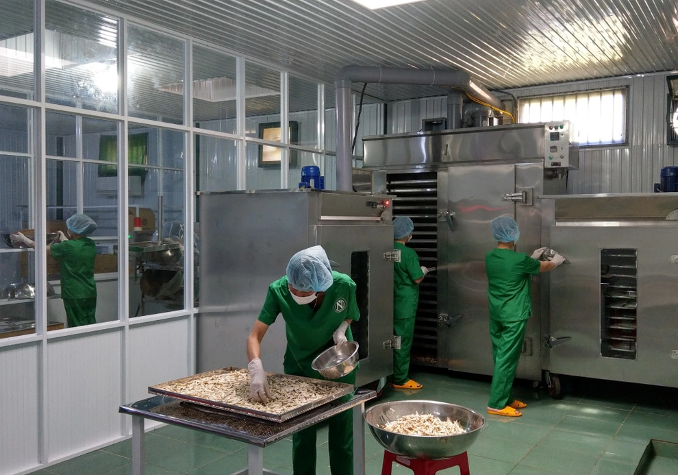Xưởng sản xuất trà của anh Sơn rộng rãi với máy móc hiện đại
