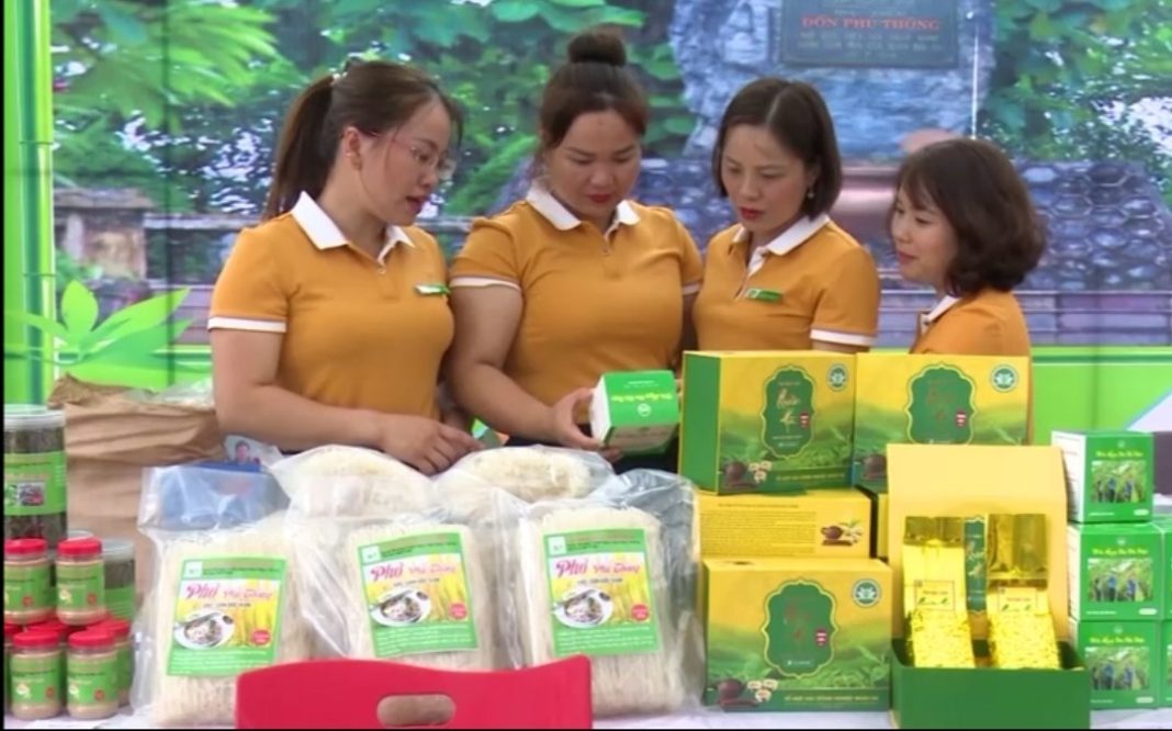 Trà hoa đu đủ được giới thiệu tại các sự kiện lớn trên địa bàn huyện