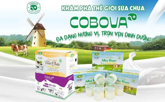 Mong muốn của Phan Uyên là đưa nông sản Ba Vì vươn ra thế giới