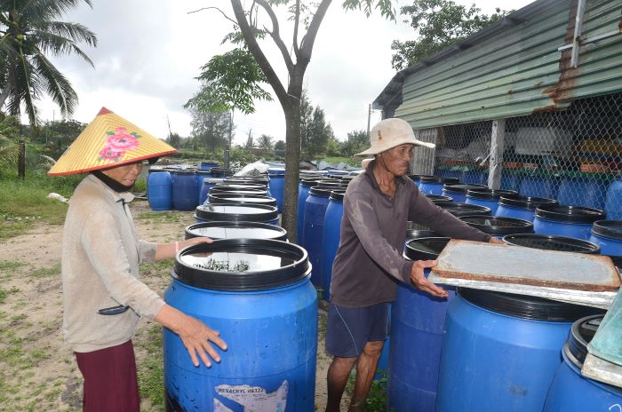 Làm mắm truyền thống