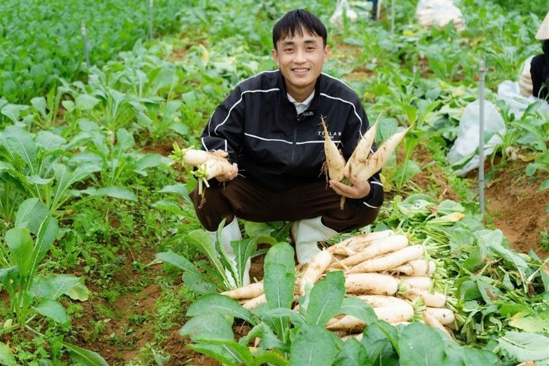Anh Vũ Văn Giáp khởi nghiệp từ nông sản địa phương